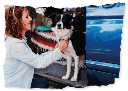 La location de camping-car avec chien admis