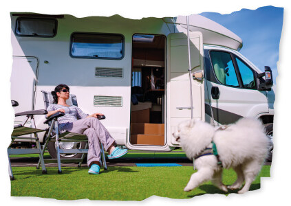 La location de camping-car avec chien admis