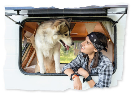 La location de camping-car avec chien admis