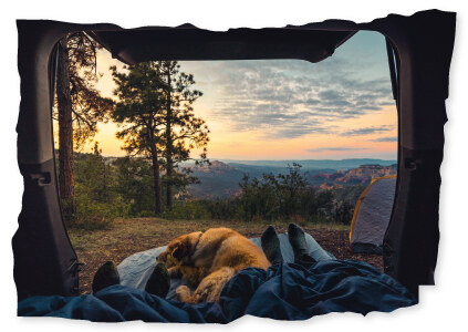 Louer un van aménagé pour votre road trip